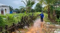 Bendungan yang nyaris jebol di Gayung Bersambut Kecamatan Selakau